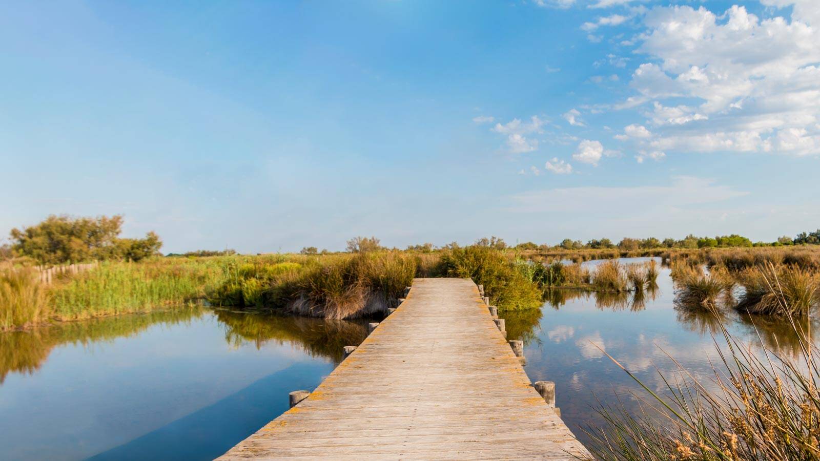 Paysage du Parc Naturel Régional de Camargue